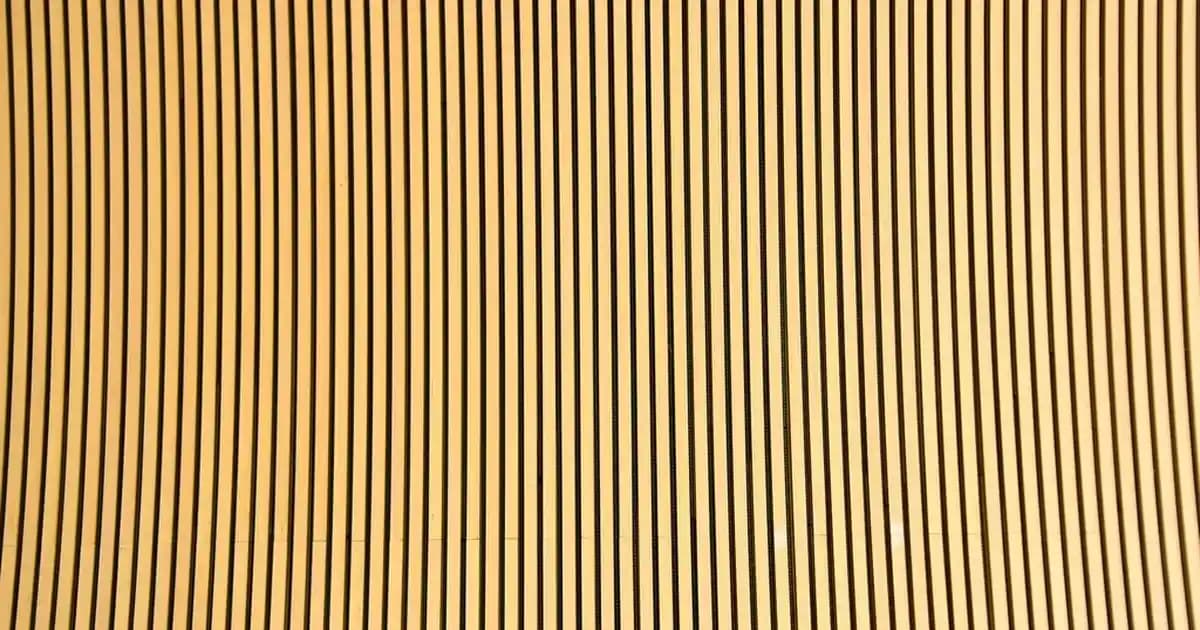 Beyaz Yüksek Taban Erkek Ayakkabıları: Modern Stil ve Konforun Buluşma Noktası