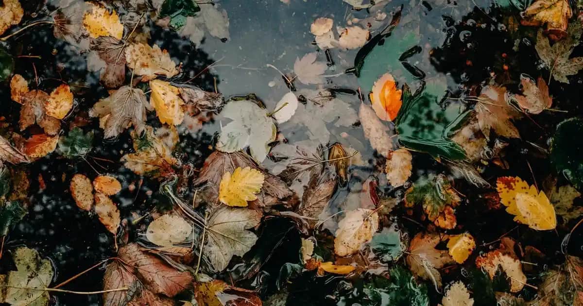 Bez Spor Ayakkabılar ile Günlük Şıklık ve Rahatlığı Yakalayın