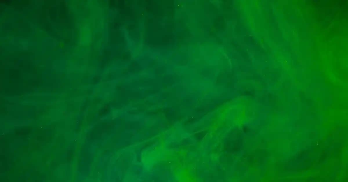 Botres Gömlek Nedir, Özellikleri ve Erkek Giyiminde Kullanım Alanları