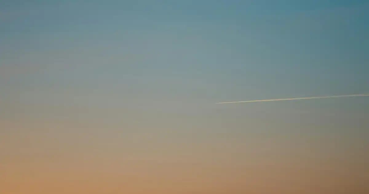 Canlı Bebek Çiçeği: Yeni Doğan ve Bebek Kutlamalarında Anlam ve Şıklığın Buluşması