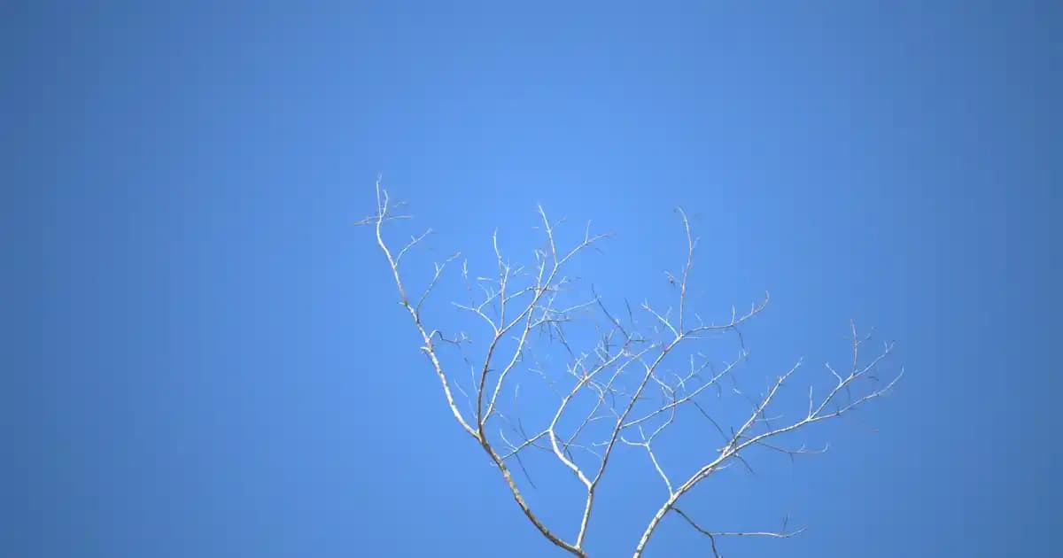 Çanta ve Ayakkabı Temasıyla Tarzınıza Anlam Katacak Güzel Sözler ve İlham Verici Paylaşımlar