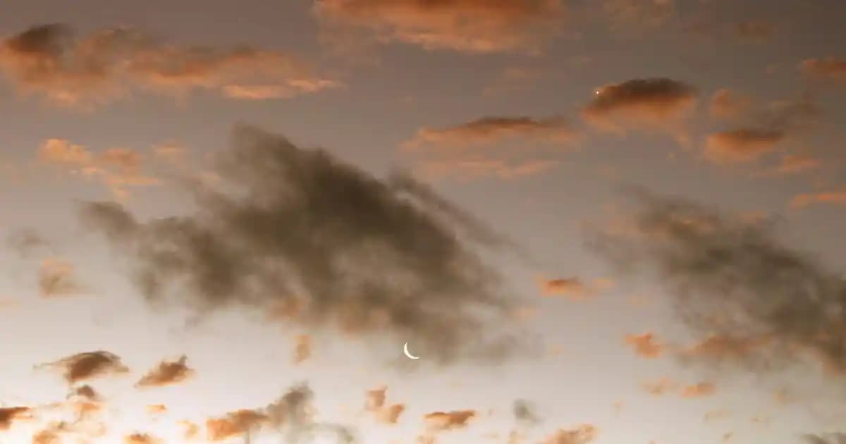 Clogs Terlik Nedir? Konfor ve Şıklığın Modern Ayakkabı Seçenekleri