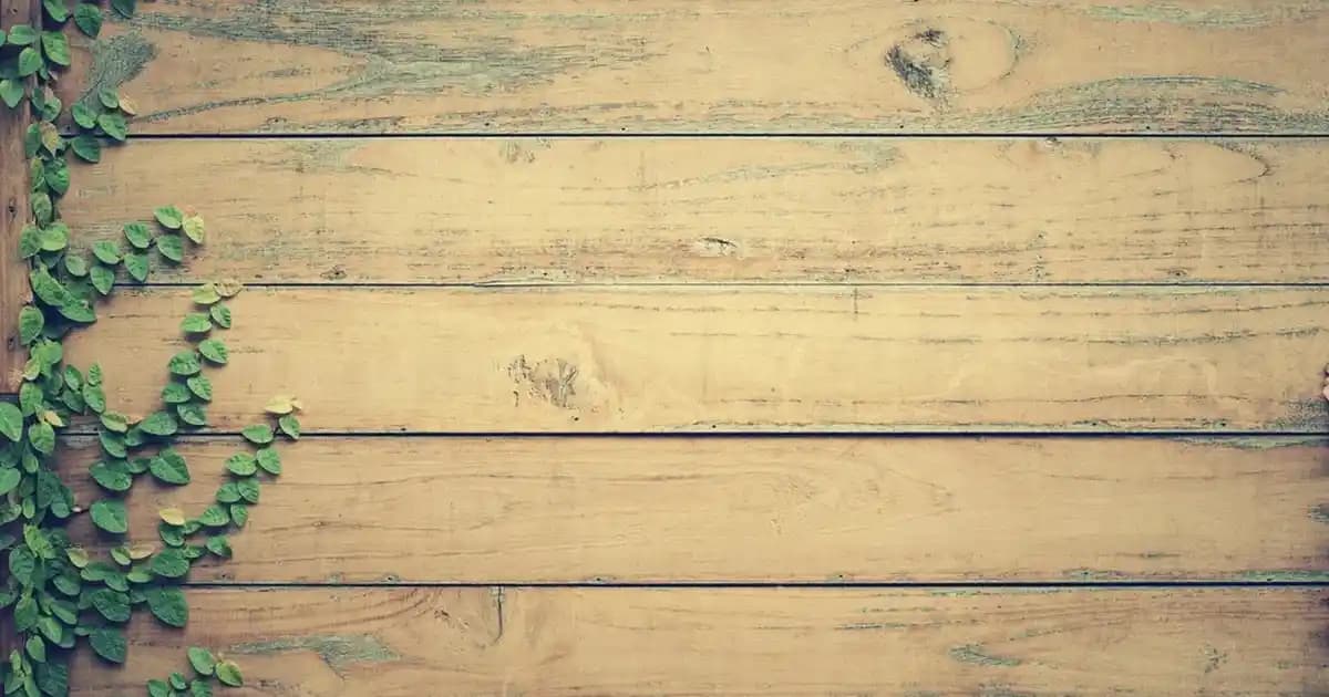 Çocuk Gelinlikleri ve Aksesuar Seçenekleri: Trendler ve Uygun Kombinasyonlar