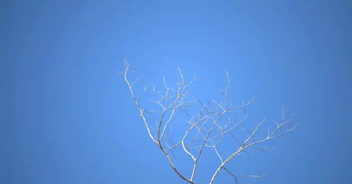 Çocuklar İçin Doğum Günü Hediyesi Seçenekleri: Çanta ve Ayakkabı Trendleri ve Gelişime Katkıları