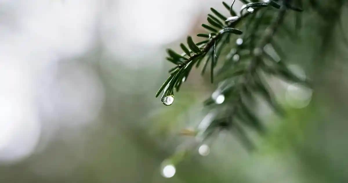 Çocuklar İçin Güvenli ve Şık Çanta ile Ayakkabı Seçim Rehberi