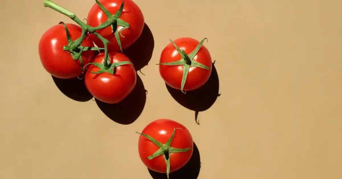 Columbia Flow District Erkek Outdoor Ayakkabısı Dayanıklı ve Şık Tasarımıyla Öne Çıkıyor