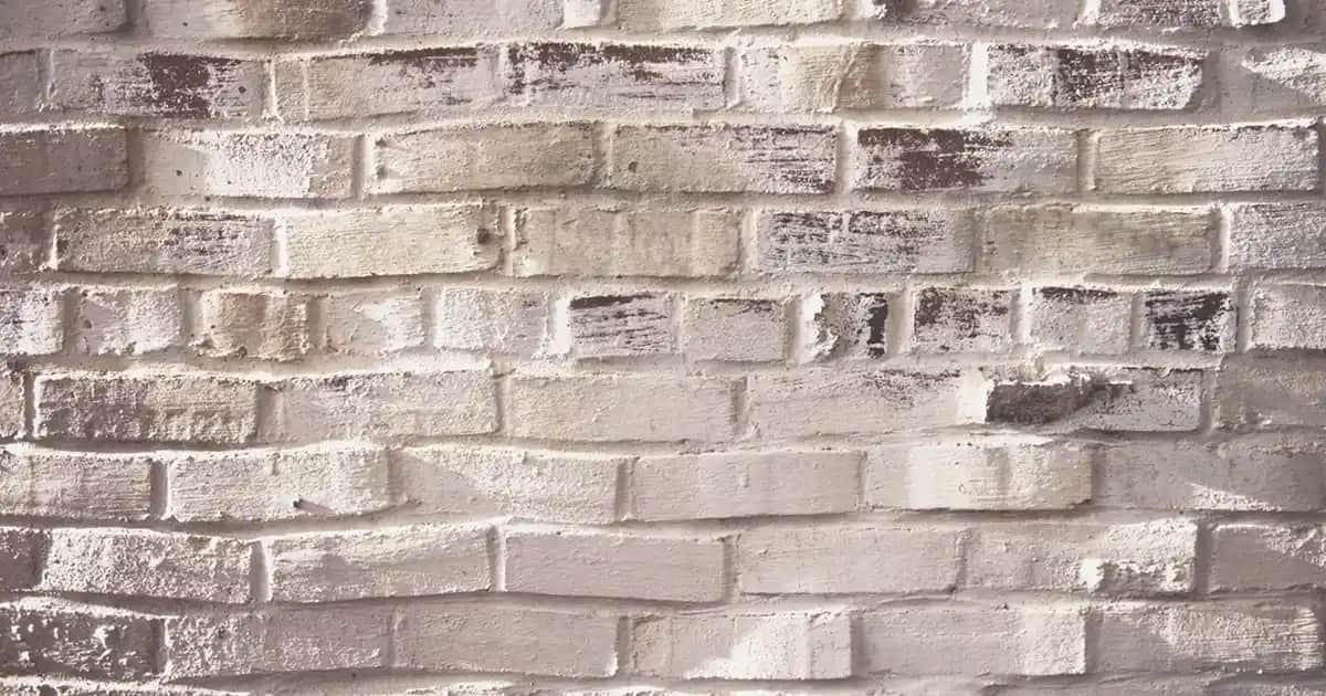 Columbia Kadın Mont Koleksiyonunda Mor Renk Seçenekleri ve Stil İpuçları