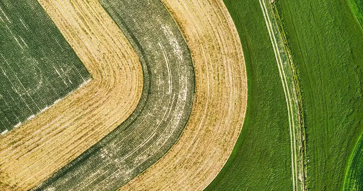 Davetlerde Şıklığı Yakalayan En Uygun Kombin ve Stil Önerileri