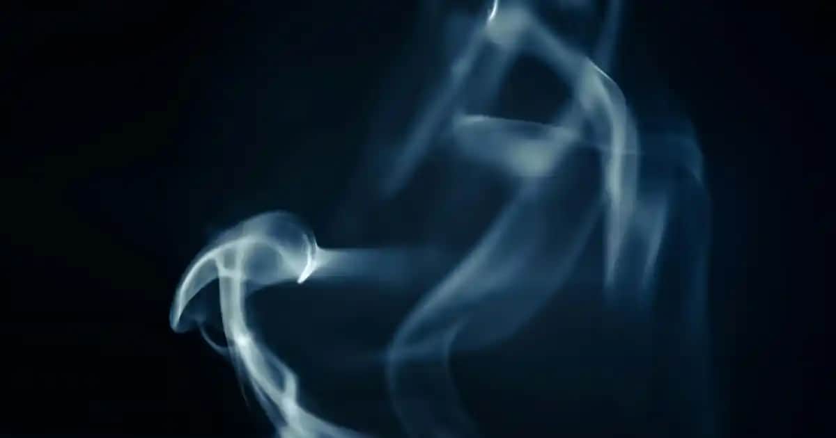 Ekose Erkek Pantolonları: Moda Trendleri ve Stil İpuçlarıyla Şıklık ve Konfor