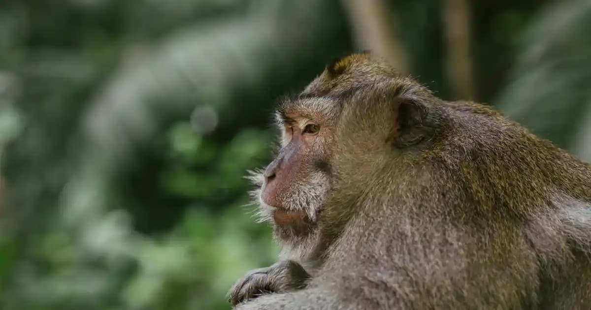 En Şık Kombinler İçin Çanta ve Ayakkabı Seçenekleriyle Tarzınızı Yükseltin