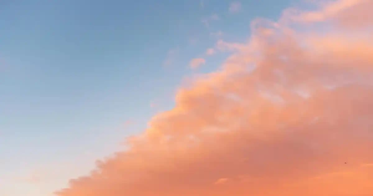 Erkek Alt Üst Eşofman Takımları: Konfor ve Şıklığın Modern Buluşması