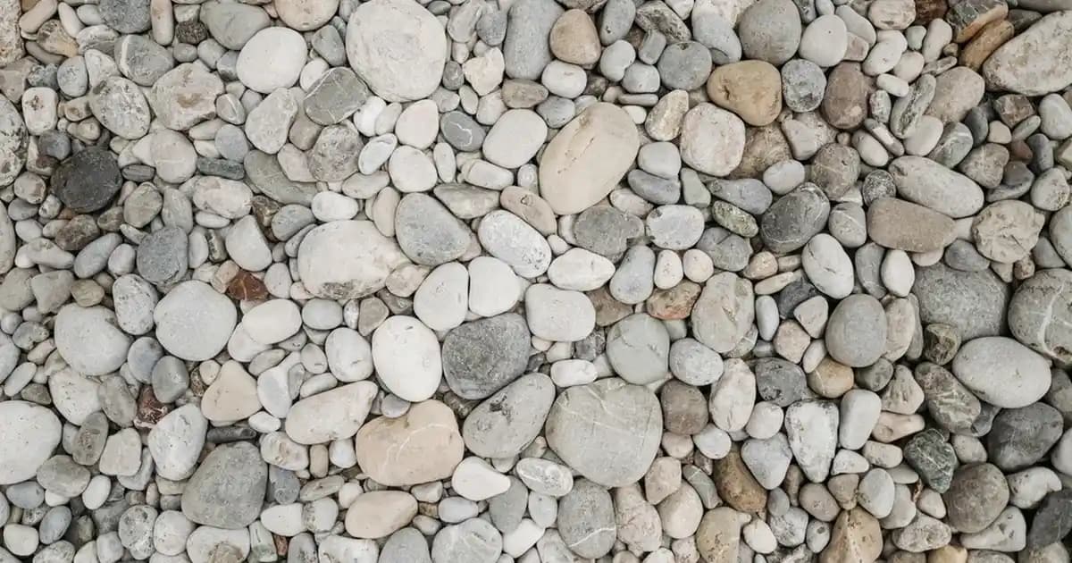 Erkek Alt Üst Eşofman Takımları: Trendler, Modeller ve Kombin İpuçları