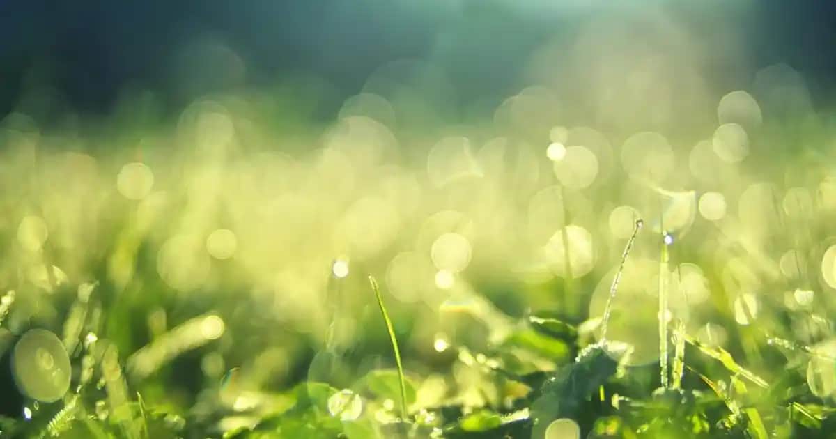 Erkek Antrasit Gömlekleri: Çok Yönlü Kullanım ve Stil İpuçları