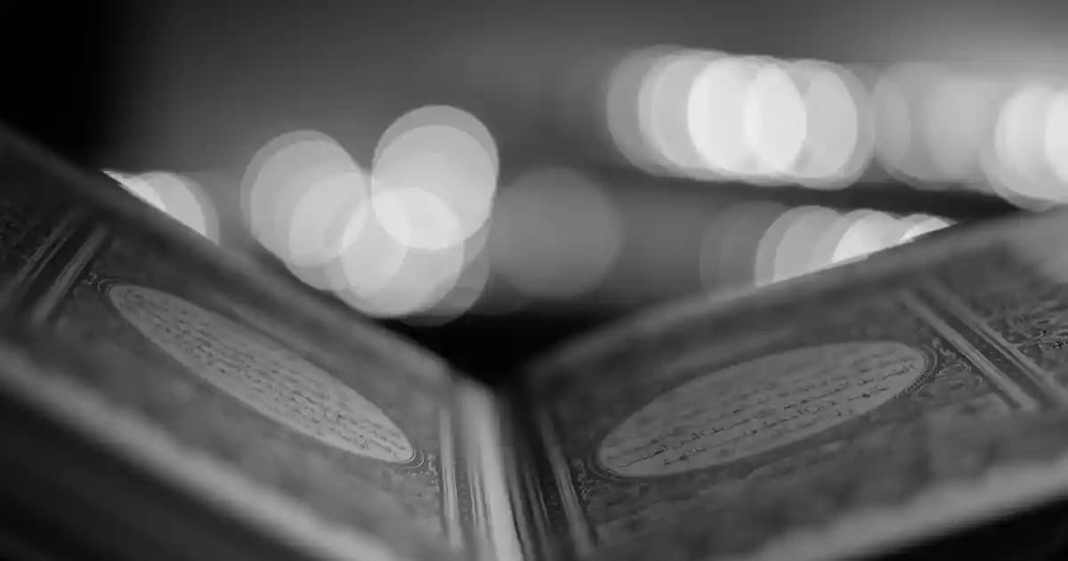 Erkek Beyaz Adidas Ayakkabıları: Şıklık ve Konforun Birleştiği Modern Tasarımlar