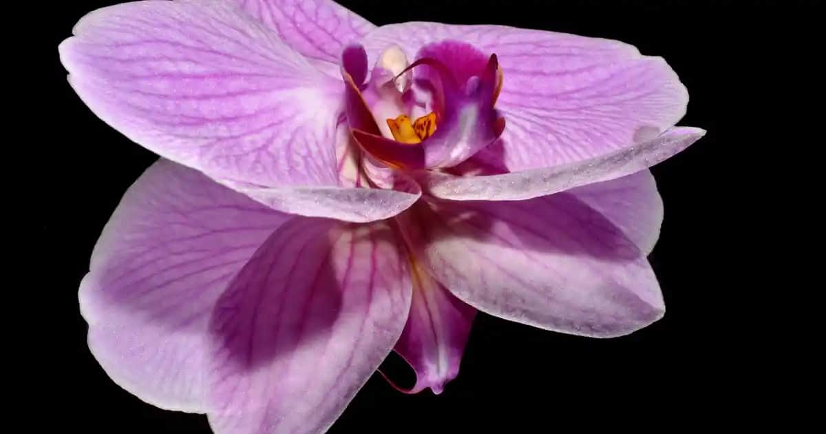 Erkek Bileklik Modelleri ve Trendleri: Stil ve İfade İçin Güncel Seçenekler