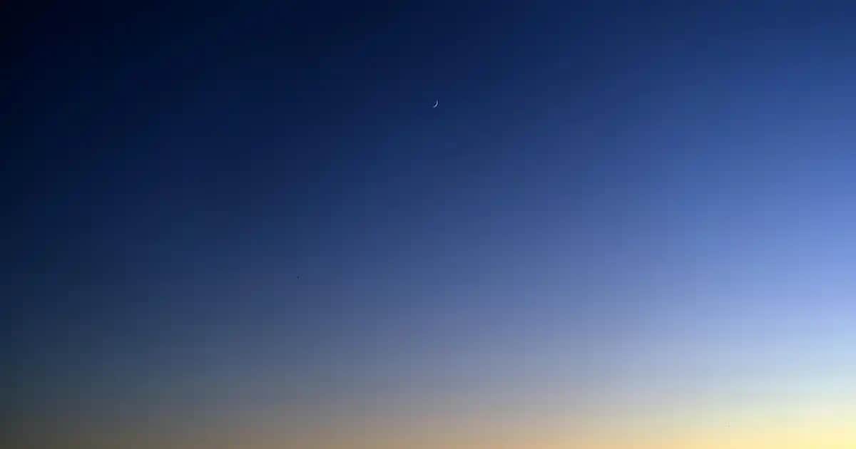 Erkek Bisiklet Yaka Tişörtleri: Konfor ve Şıklığın Modern Buluşması