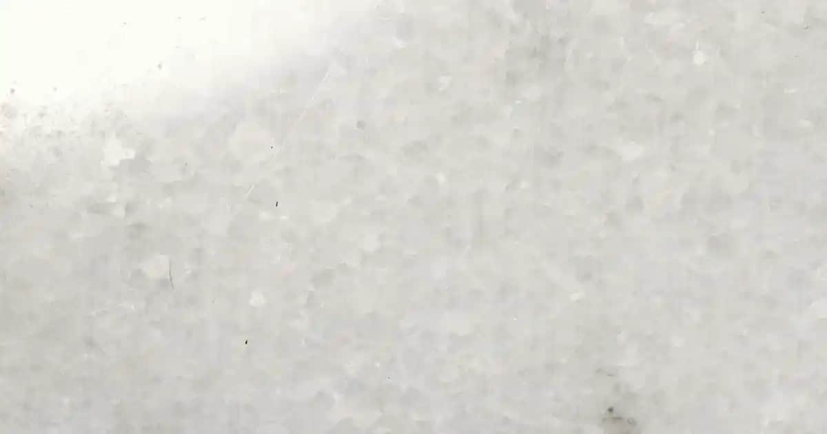 Erkek Bluz Modelleri ve Trendleri: Günlük ve Şık Kombinler İçin Rehber