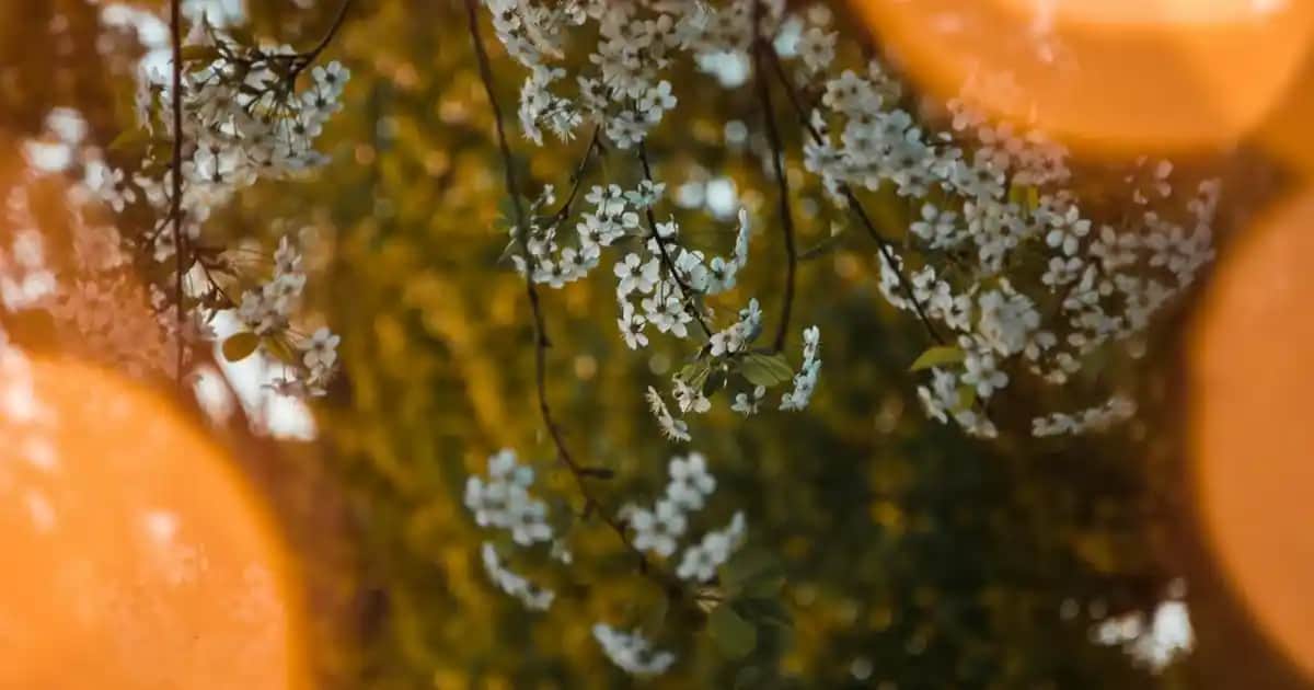 Erkek Ceket Modelleri ve Stil Seçenekleri: Güncel Trendler ve Kombinasyon İpuçları