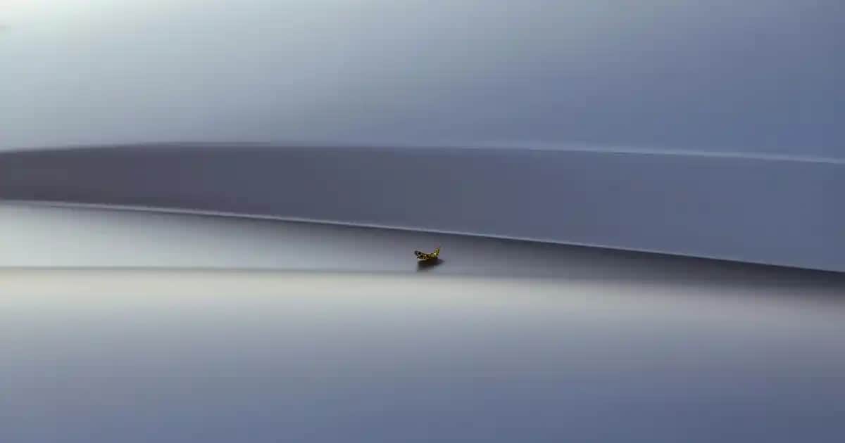 Erkek Denim Modası: Renkler, Modeller ve Güncel Trendlerle Tarzınızı Yansıtın