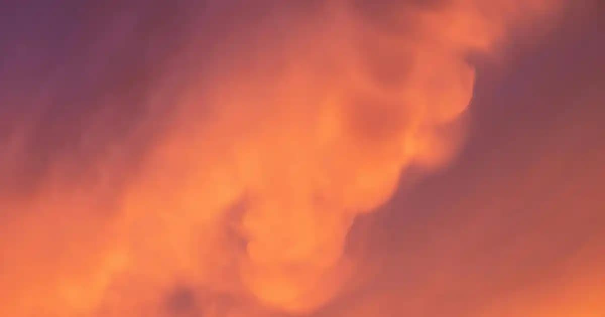 Erkek Deri Ayakkabı Modelleri: Çeşitleri, Trendleri ve Bakım İpuçları