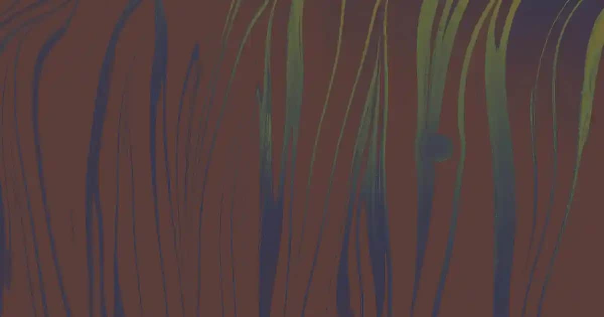 Erkek Dış Giyim ve Aksesuar Seçiminde Stil ve Uyum Rehberi