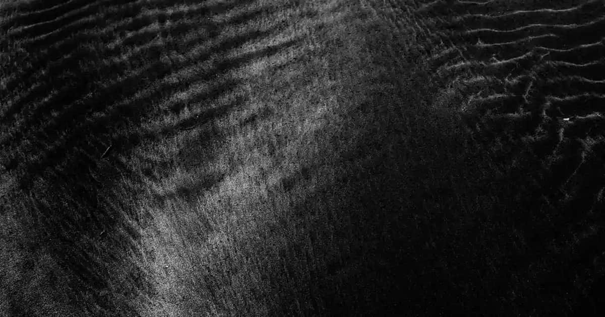 Erkek Elbise Kombinleri: Günlük ve Resmi Ortamlar İçin Stil ve Uyum Rehberi