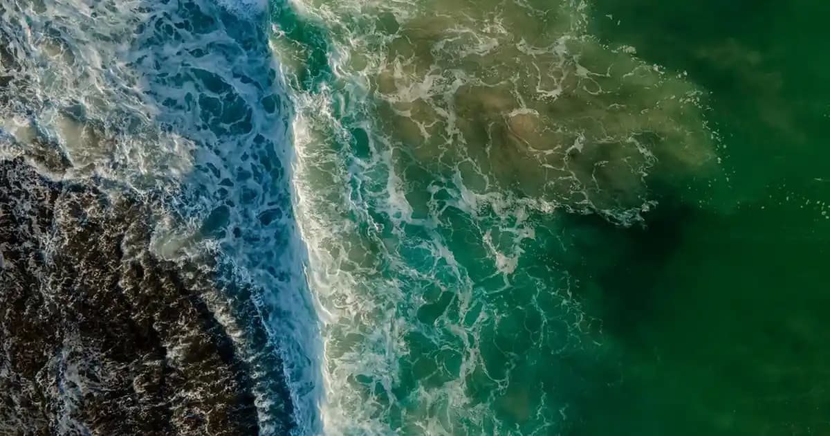 Erkek Eşofman ve Ayakkabı Seçiminde Stil ve Konforun Uyumunu Sağlama Rehberi