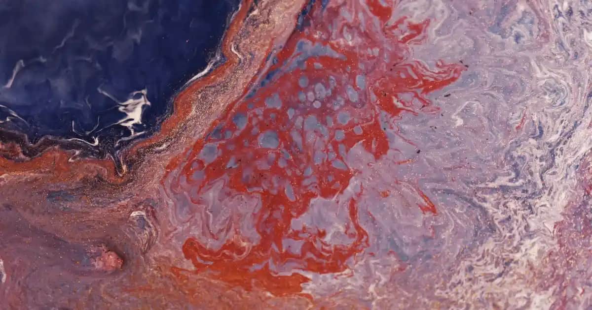 Erkek Fotoğraflarının Moda ve Stil Üzerindeki Etkisi ve Trendler