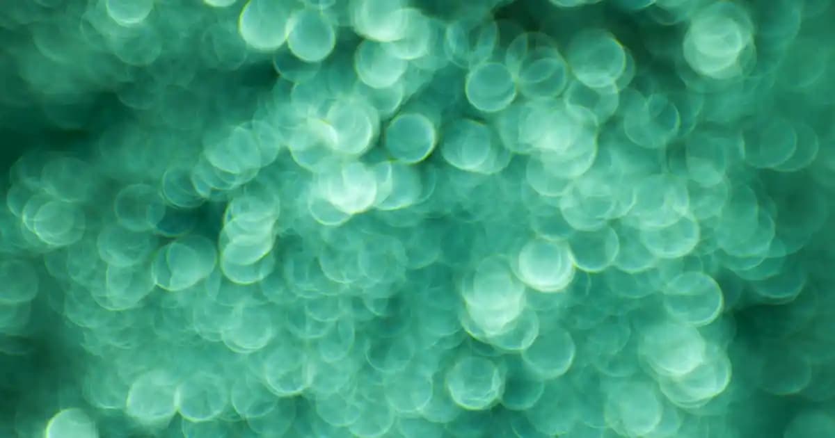 Erkek Giyim Tarzını Tamamlayan Çanta ve Ayakkabı Seçenekleri ve Stil İpuçları