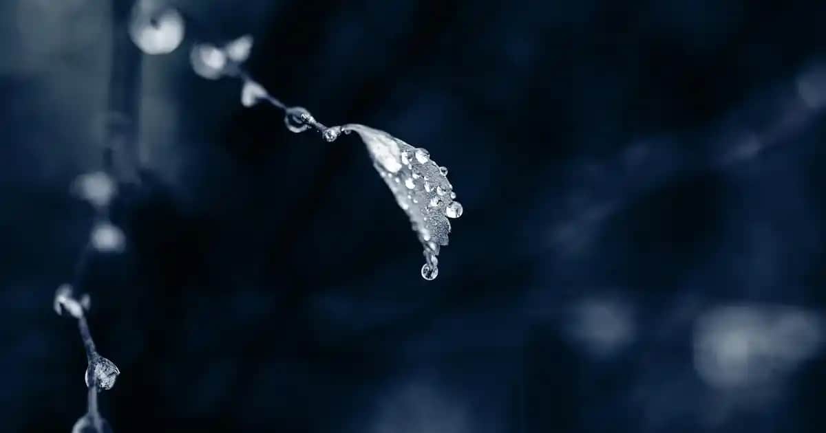 Erkek Giyiminde Çanta ve Ayakkabı Seçenekleri ile Stil Yolculuğu Rehberi