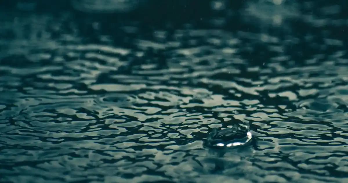 Erkek Giyiminde Tişört, Çanta ve Ayakkabı Uyumuyla Şıklığı Yakalamak