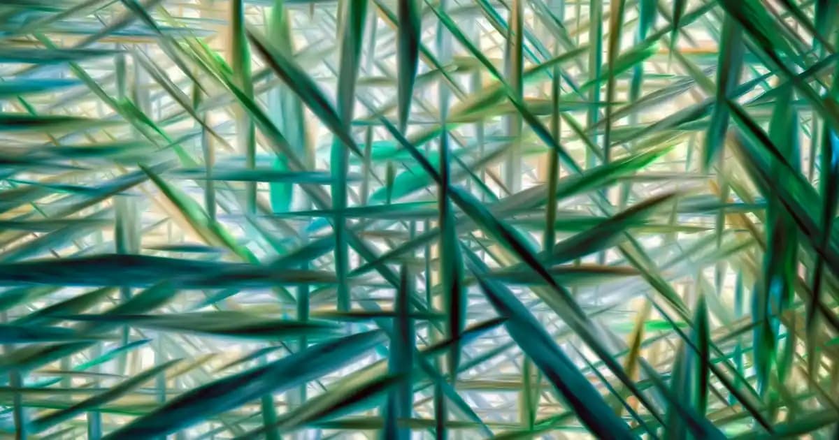 Erkek Gömleği ile Kadın Kombinleri: Şıklık ve Rahatlığın Modern Buluşması