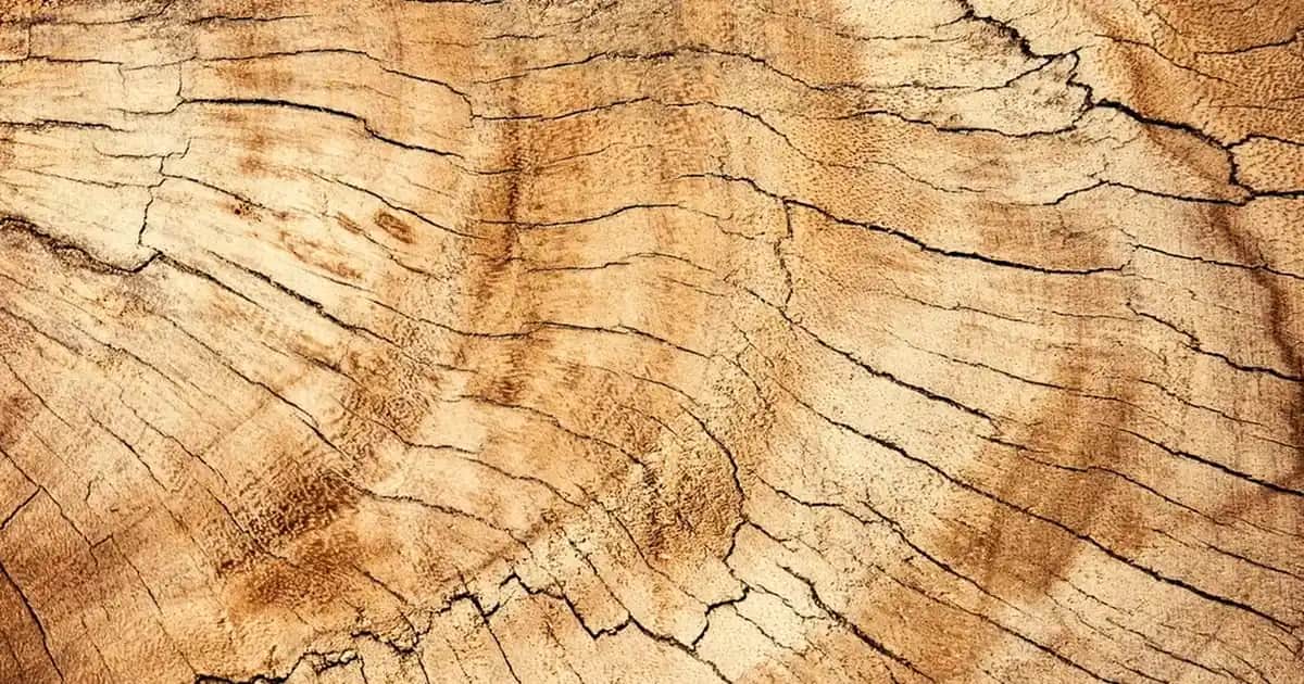 Erkek Kartlık Cüzdan Seçerken Dikkat Edilmesi Gerekenler ve Trendler