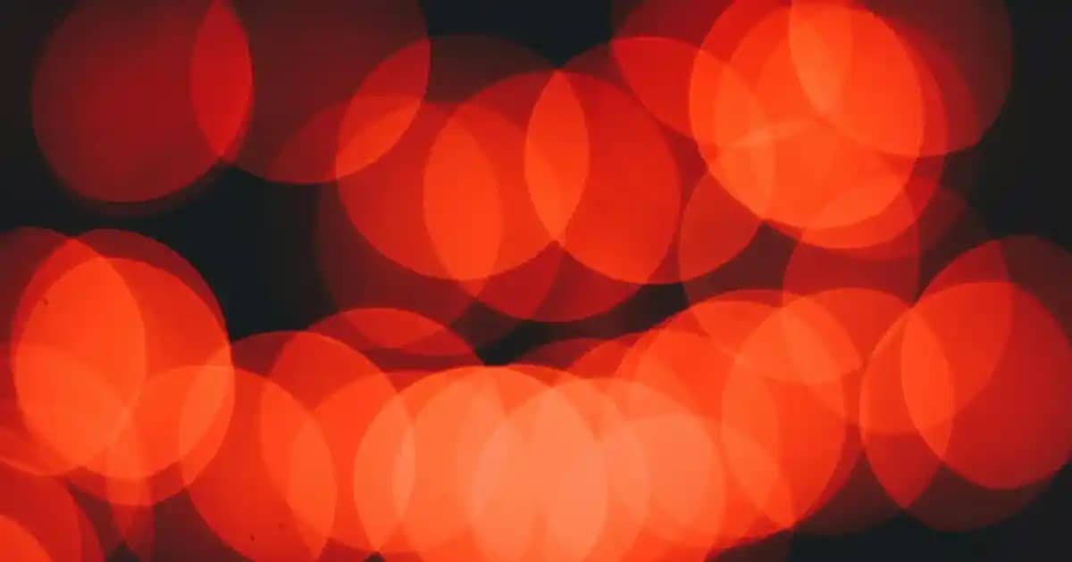 Erkek Kartlık Cüzdan Seçimi ve Modelleri: Şıklık ve İşlevselliğin Birleşimi