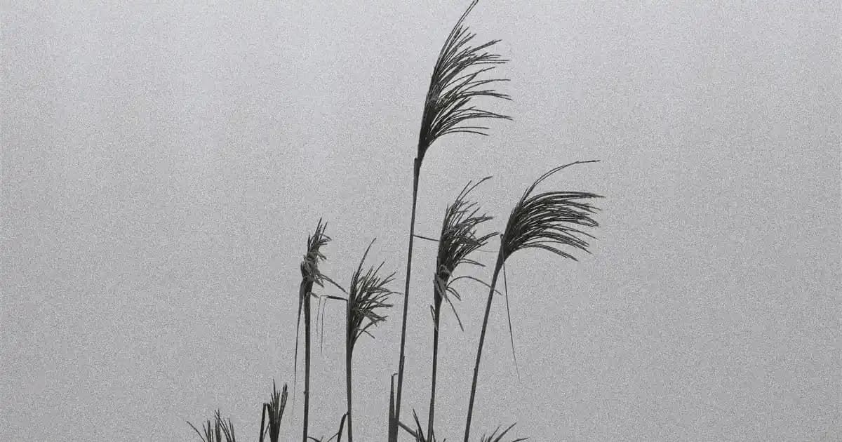 Erkek Kıyafet Kombinleri ve Uyumun Sırları: Mevsime Göre Stil Rehberi