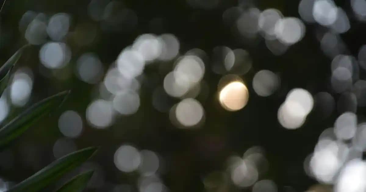 Erkek Kot Pantolon Modelleri ve Stil İpuçlarıyla Güncel Giyim Trendleri