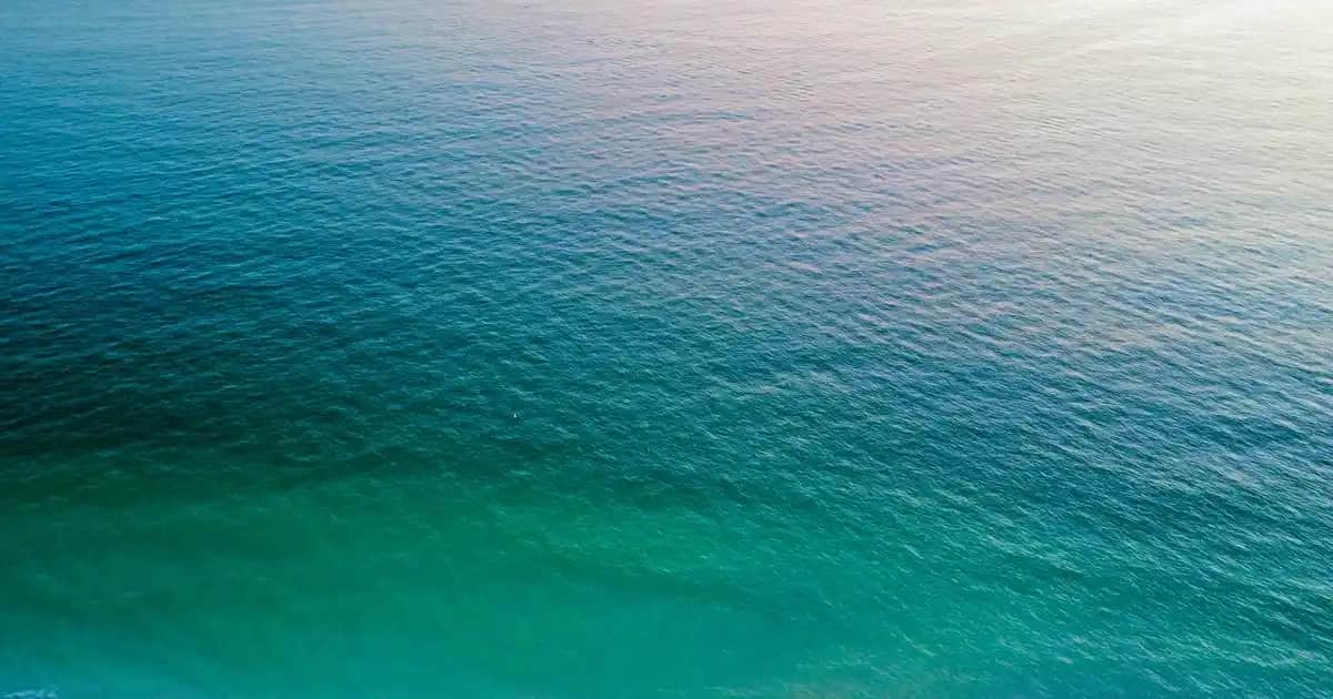 Erkek Kruvaze Ceketleri: Şıklık ve Konforu Bir Arada Sunan Klasik Parça