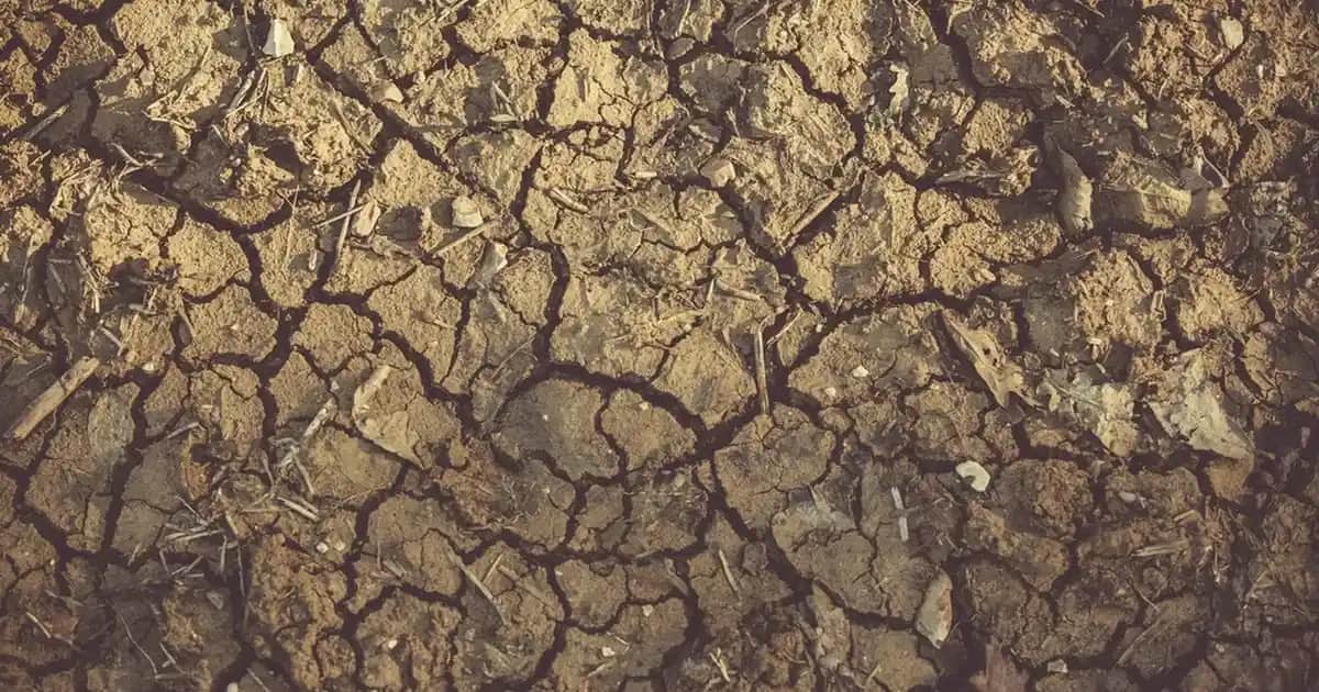 Erkek Kumaş Mont Seçimi ve Trendleri: Kış İçin Stil ve İşlevsellik Rehberi