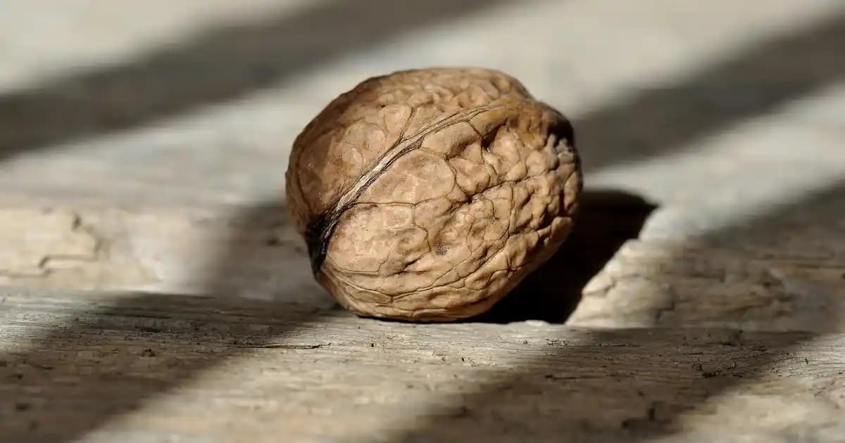 Erkek Kundura Modelleri ve Seçim Rehberi: Şıklık ve Konforun Birlikteliği