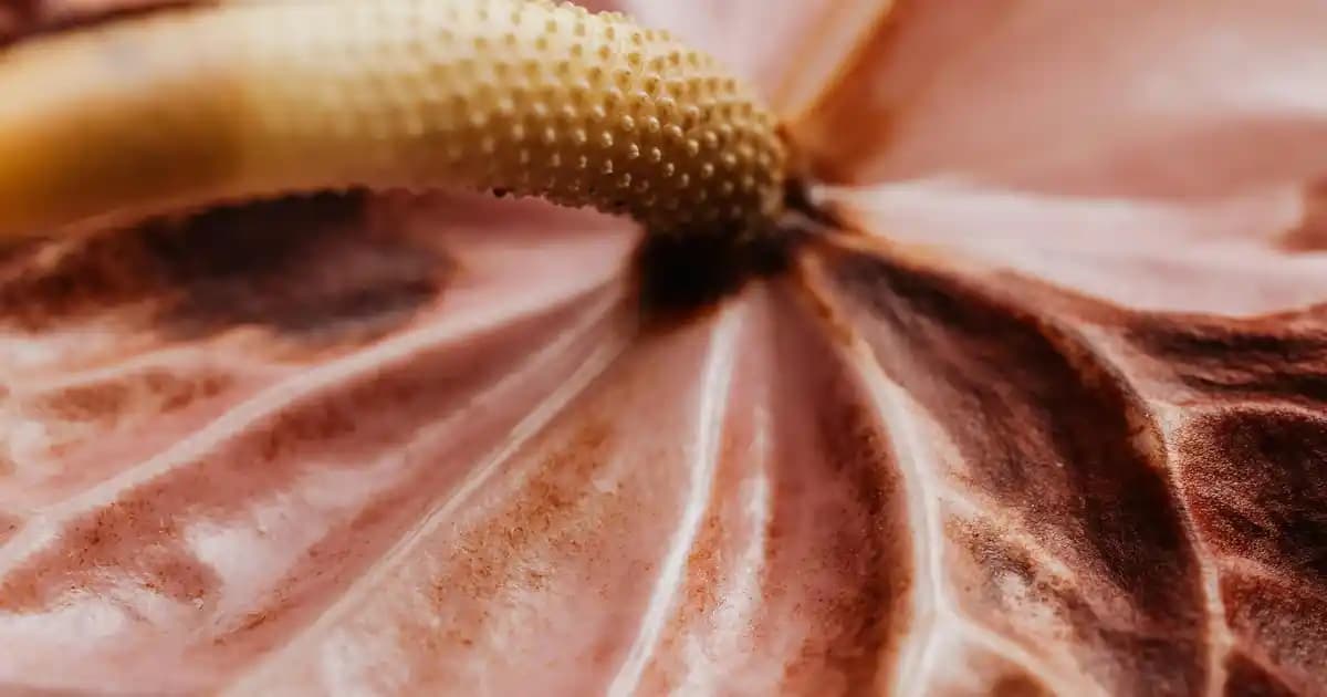 Erkek Künye Modelleri ve Seçim Rehberi: Tarzınızı Yansıtan Aksesuarlar