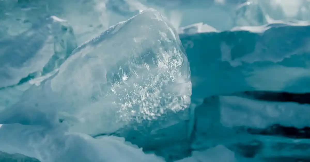 Erkek Lacivert Mont Modelleri ve Stil İpuçlarıyla Kış Şıklığını Yakalayın