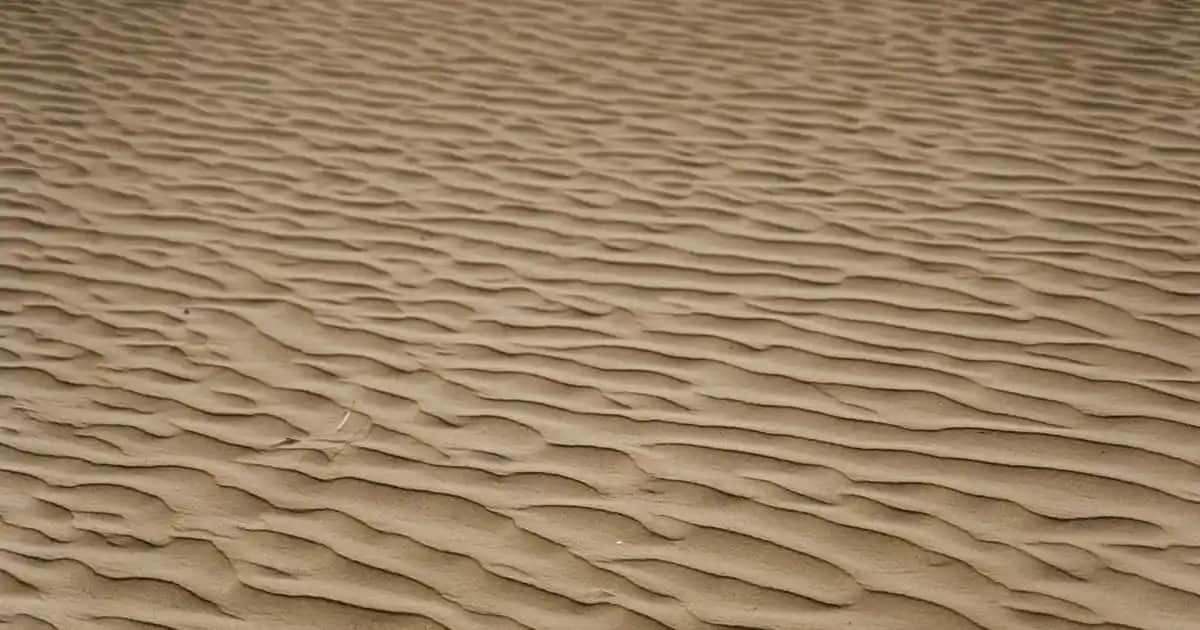 Erkek Mavi Tişörtlerle Uyumlu Ayakkabı ve Çanta Seçenekleri Rehberi