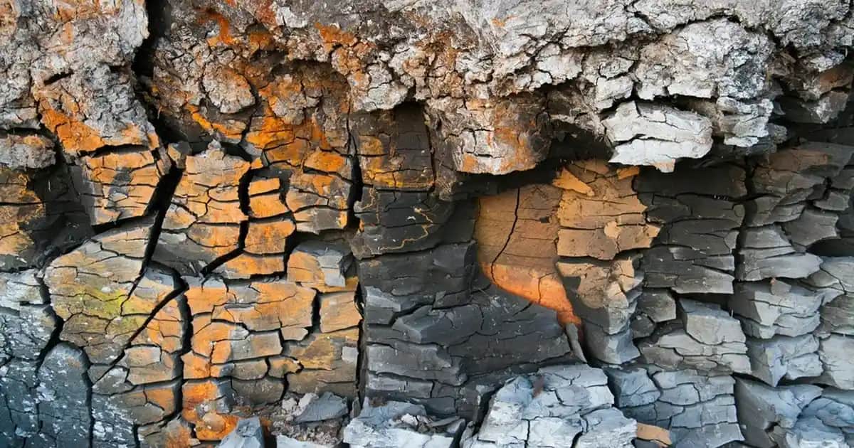 Erkek Öğretmenler İçin Uygun Çanta ve Ayakkabı Hediye Seçenekleri 2023