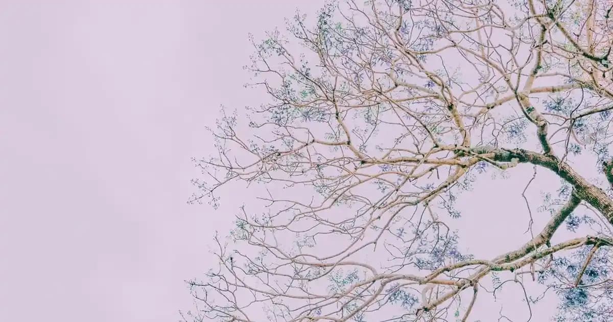 Erkek Pamuklu Pantolonlar: Konfor ve Şıklığın Modern Buluşması