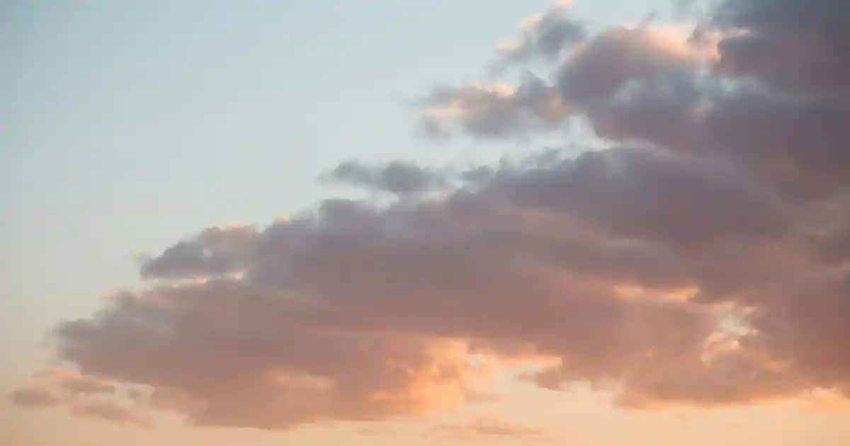 Erkek Pantolon ve Tişört Kombinleriyle Şıklık ve Rahatlık Yakalayın