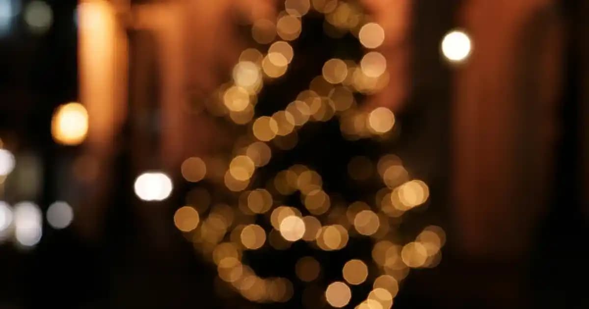 Erkek Renkli Sweatshirt Modelleri: Günlük Şıklık ve Rahatlık İçin En İyi Seçenekler