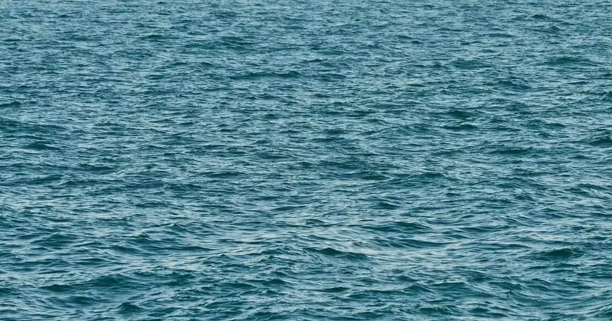 Erkek Siyah Basic Tişört: Modanın Temel Parçası ve Kombinasyon İpuçları