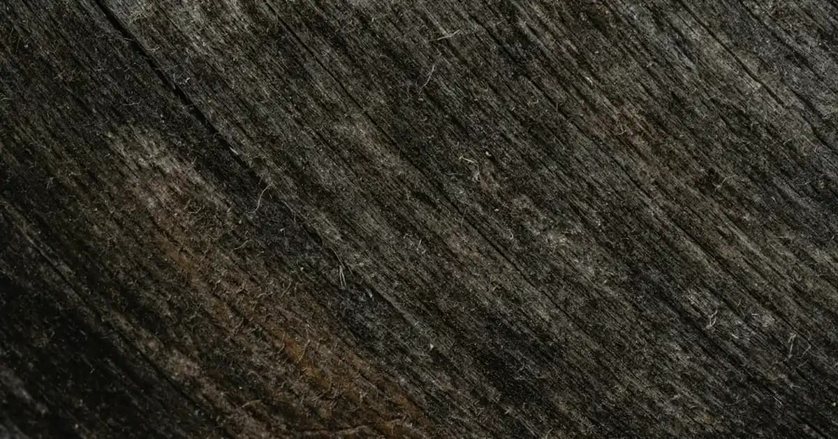 Erkek Şort Modelleri ve Stil İpuçlarıyla Yaz Trendlerini Yakalayın