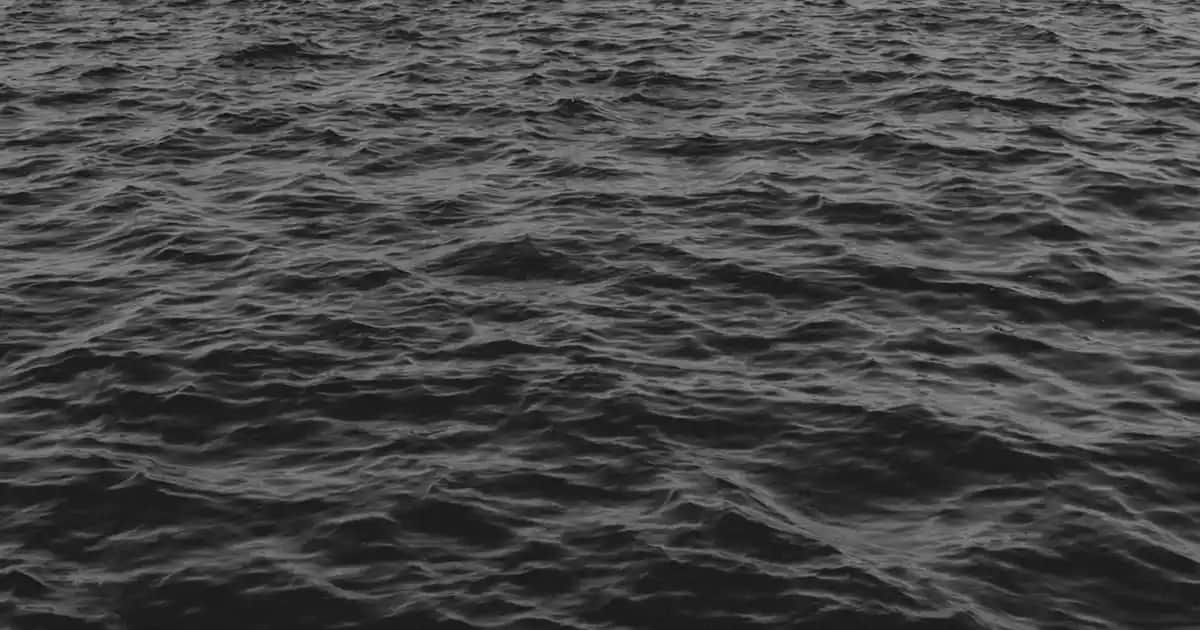 Erkek Spor Ayakkabıları: Marka Seçenekleri ve Moda Trendleri Hakkında Kapsamlı Bilgi