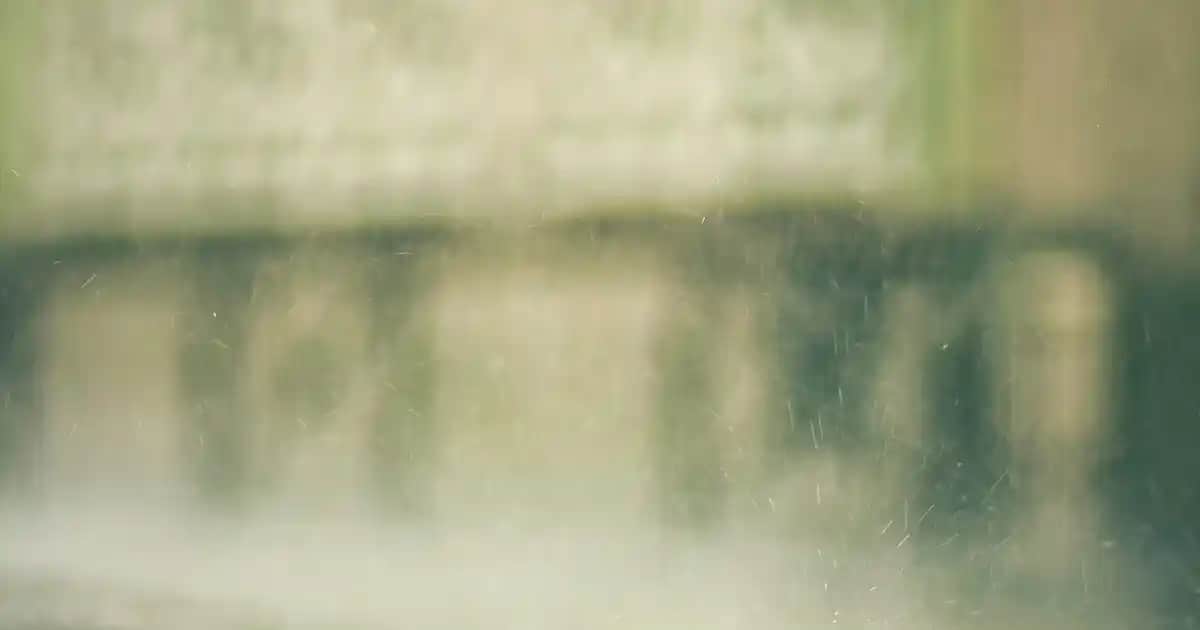 Erkek Spor Ayakkabıları Seçimi ve Modelleri Hakkında Kapsamlı Rehber